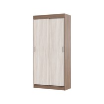 Шкаф-купе Андрей-Эконом (ясень шимо темный/ясень шимо светлый)