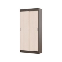 Шкаф-купе Андрей-Эконом (венге/дуб белфорд)