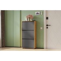 Обувница ОБ 4 (дуб золотой/графит)