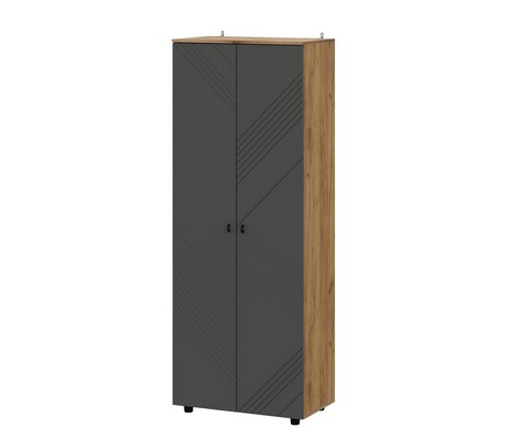 Шкаф двухстворчатый Байкал (дуб золотой/графит)