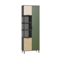 Шкаф комбинированный Марвэл 13.22 (темно-серый, сатин, плэйн, зеленый)