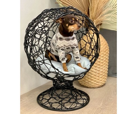 ����� ��� �������� ����� 1