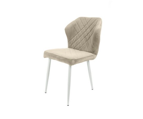 ���� �������� ����� (�������, �����)