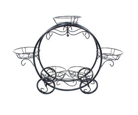 ���������� �� 5 ������� ������ ���� (������)