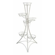 ���������� �� 6 ������� �������� (�����)