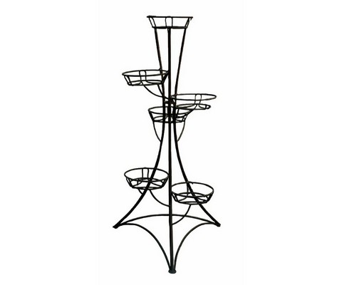 ���������� �� 6 ������� �������� (������)