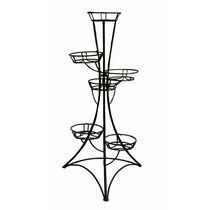 ���������� �� 6 ������� �������� (������)