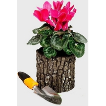 Цветочница Дуб S 1101