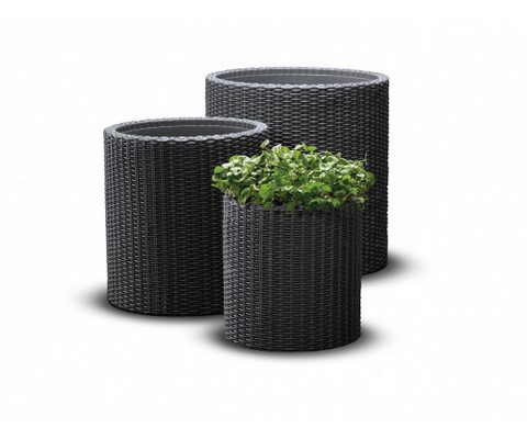 �������� ����� 3 �� CYLINDER PLANTERS (������)