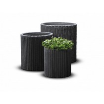 �������� ����� 3 �� CYLINDER PLANTERS (������)