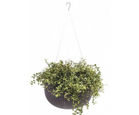����� ��������� COZY Planter S 3,2L (���������)