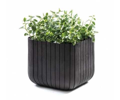 ����� CUBE PLANTERS 22� (������)