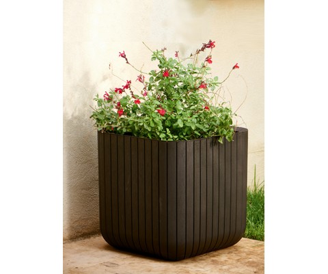 ����� CUBE PLANTERS 22� (����������)