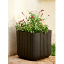 ����� CUBE PLANTERS 22� (����������)