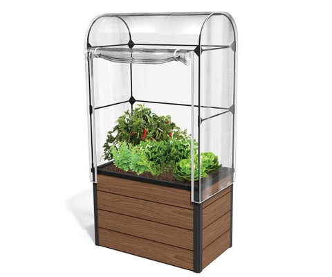������-������� Maple green house (����������)