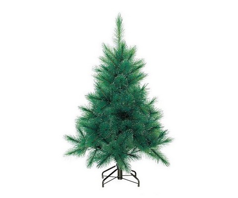   Mister Douglas Pine 160