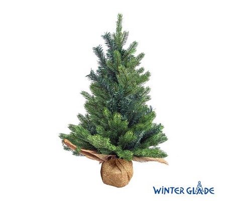   Winter Glade  60 
