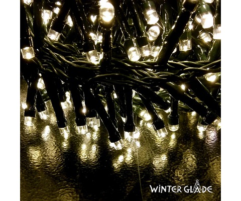   Winter Glade    550 