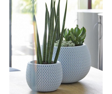    Splofy Bowl DKSP370-656U 9  ()