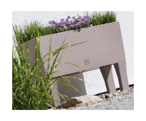     Rato Case High DRTC800H-7529U 72  ()