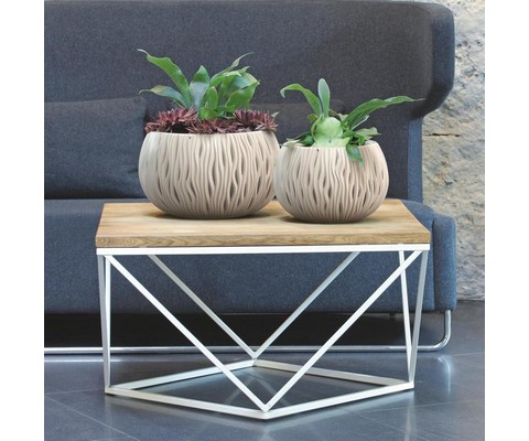    Sandy Bowl DSK370-7529U 9  ()
