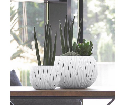    Sandy Bowl DSK370-S449 9  ()