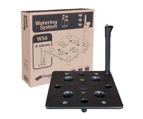    WS6