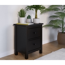 Комод Кымор 2 ящика 54х66х38 (черный)