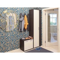 Прихожая ПР-13 дуб венге молочный