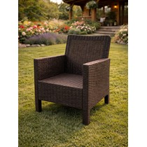 ������ ������� ��� ������ ����� (�����-����������)