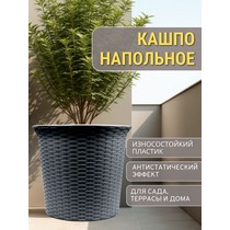 ����� ������� ��� ������ 50� ����� (�����-�����)