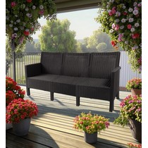 ����� ����������� ������� ��� ������ ����� (�����-�����)