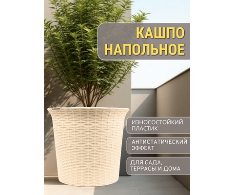 ����� ������� ��� ������ 50� ����� (�������)