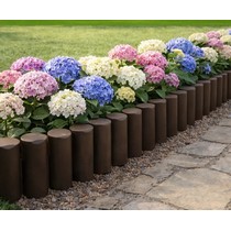 ������ ������� ����� 1 �� (����������)